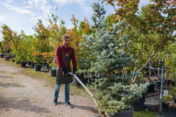 Leaf Removal in Roselle, NJ